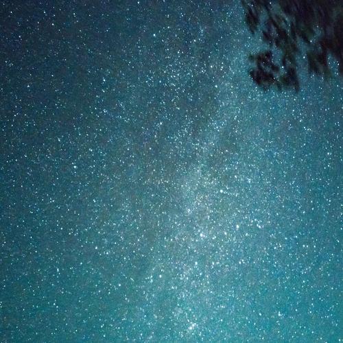 Photo #3924847