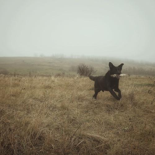Photo #3925489