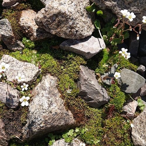 Photo #3925509