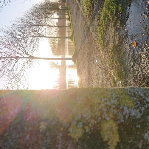 Photo #3925510