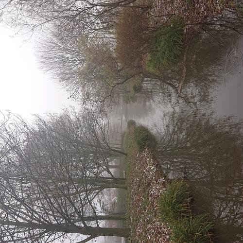 Photo #3925511