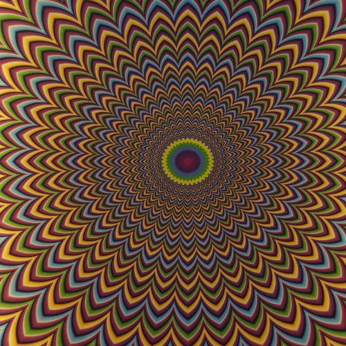 Photo #3926177