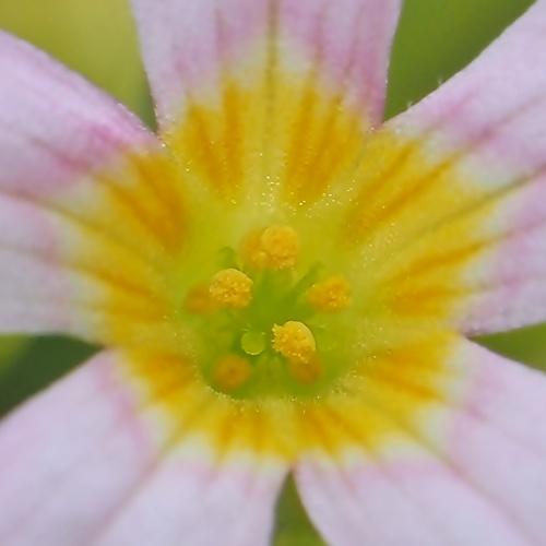 Photo #3926190