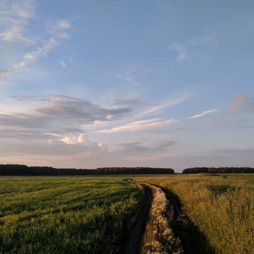 Photo #3926218