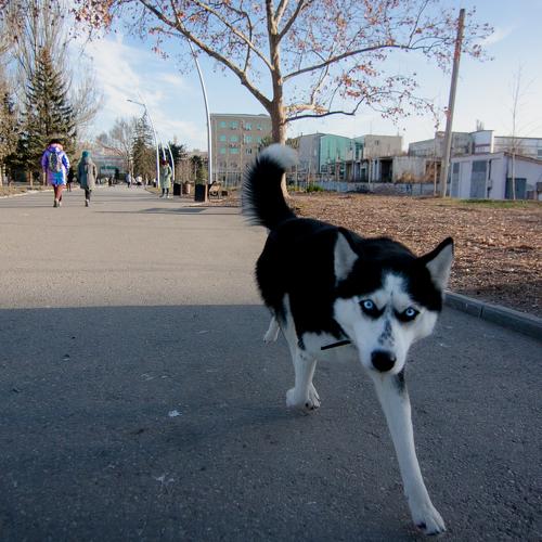 Photo #3926476