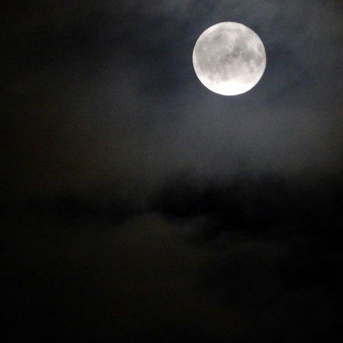 Photo #3928388