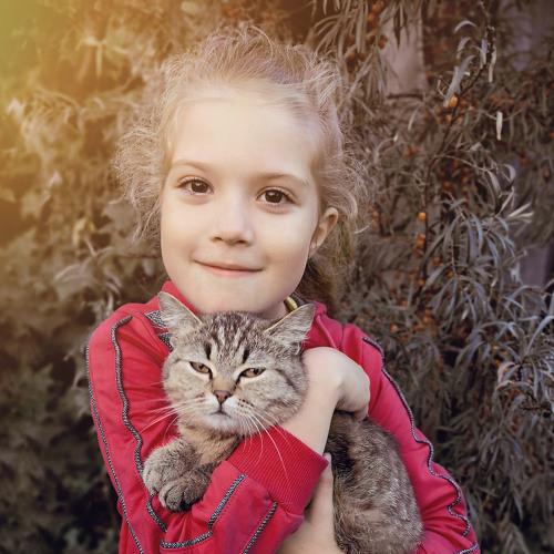 Photo #3928403