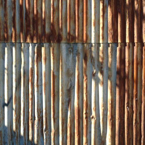 Photo #3929897