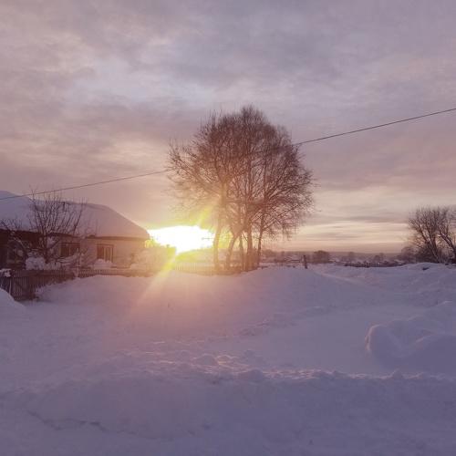 Photo #3929958