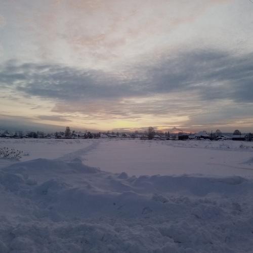 Photo #3929960