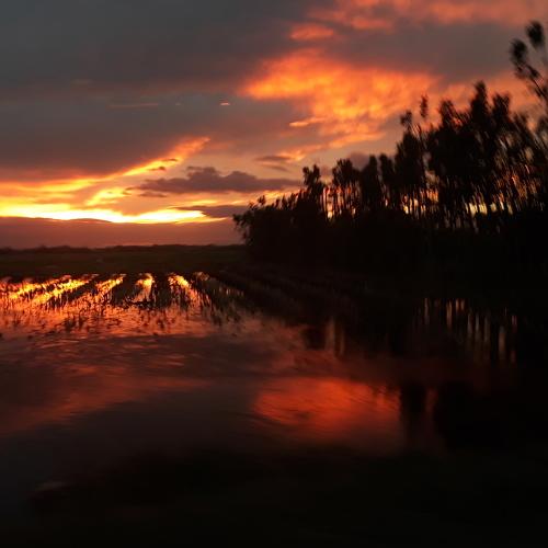 Photo #3930259