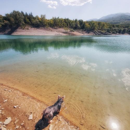 Photo #3930519