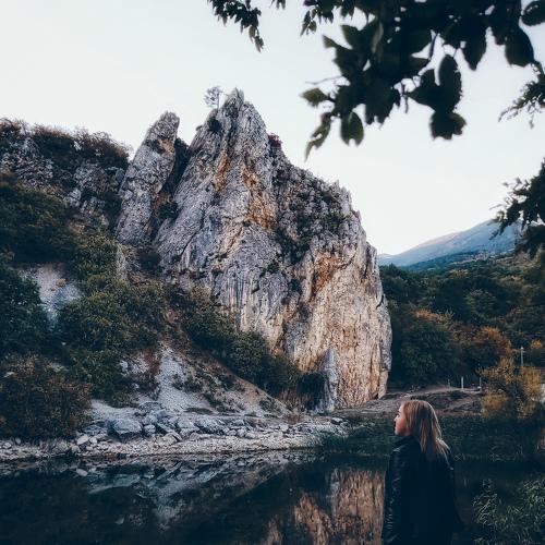 Photo #3930546