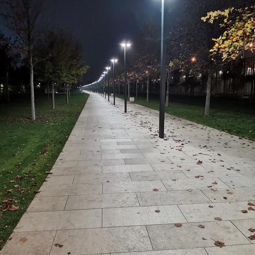 Photo #3930610