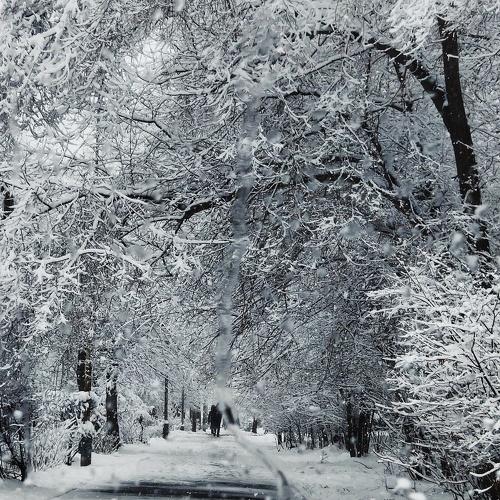 Photo #3930645