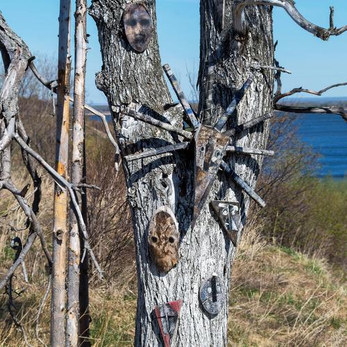 Photo #3930867
