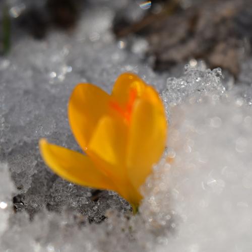 Photo #3931908