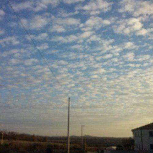 Photo #3932014