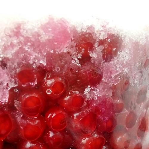 Photo #3932020