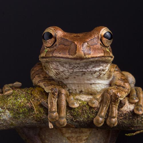 Photo #3932284