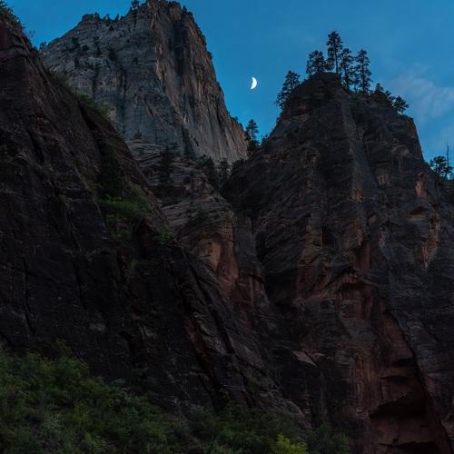 Photo #3932645