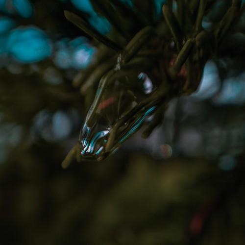 Photo #3932676