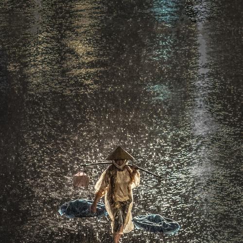 Photo #3933745