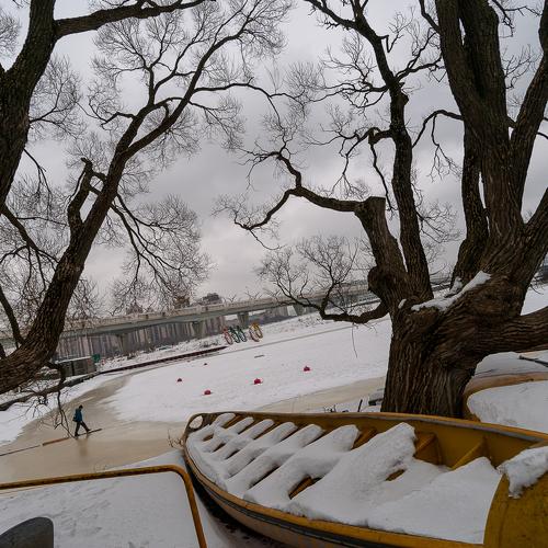 Photo #3934222