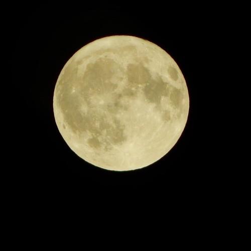 Photo #3934275