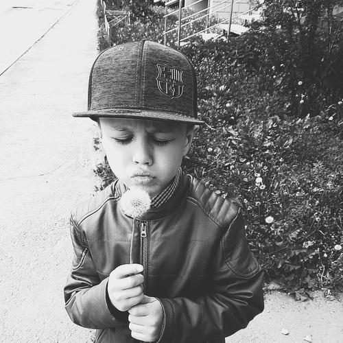 Photo #3934342