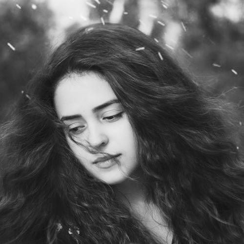 Photo #3934426