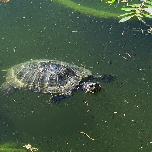 Photo #3934575