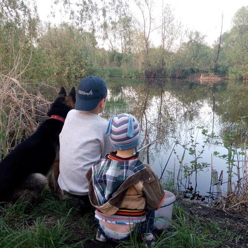Photo #3935892