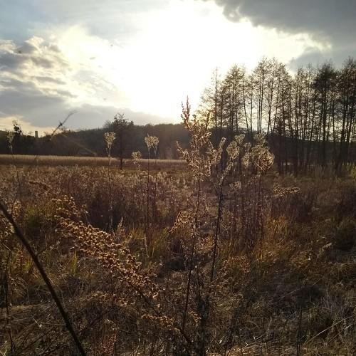 Photo #3935958