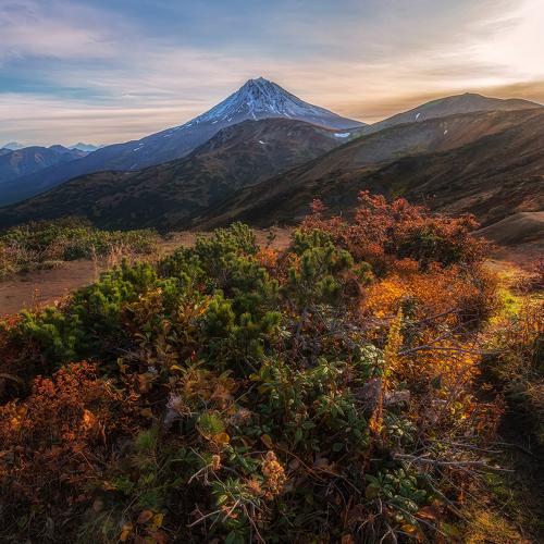 Photo #3935983