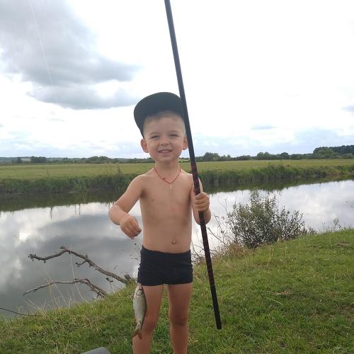 Photo #3936567
