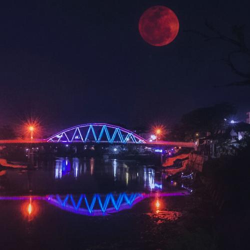 Photo #3936632