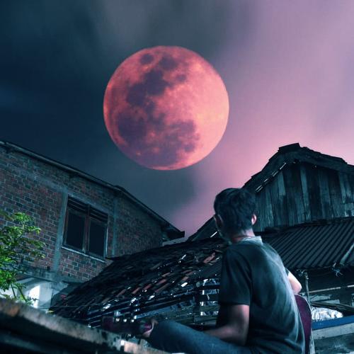 Photo #3936641