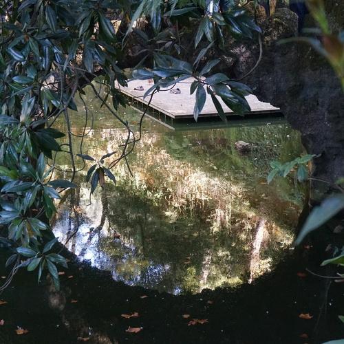 Photo #3936912