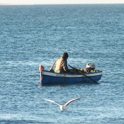 Photo #3936931