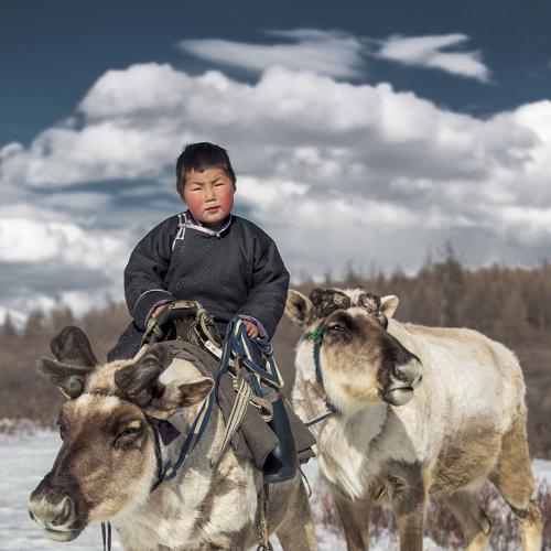 Photo #3937024