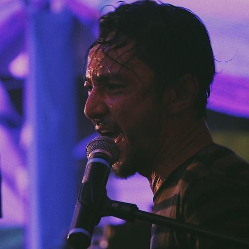 Photo #3937305