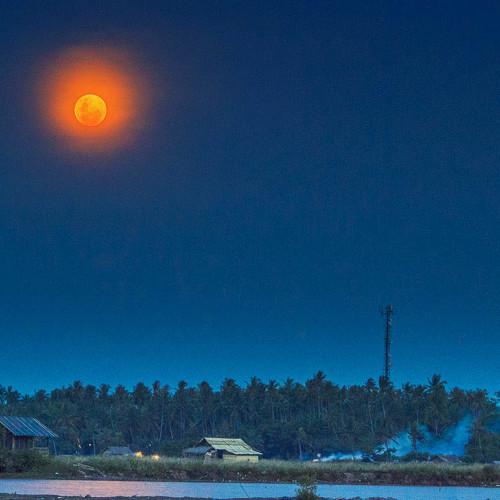 Photo #3937680