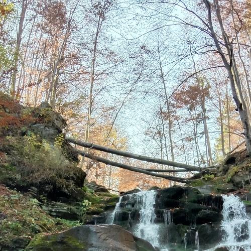 Photo #3937722