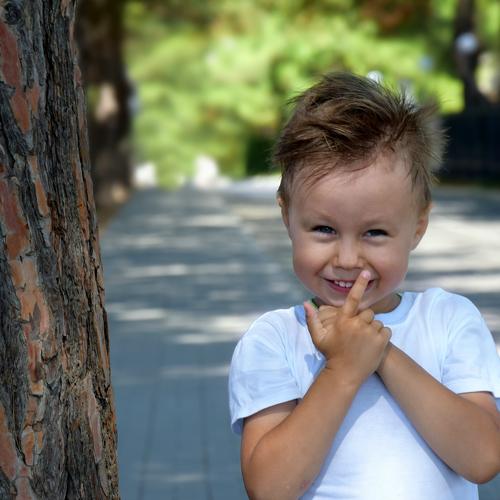 Photo #3937841