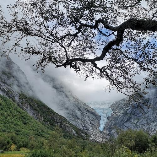 Photo #3937983
