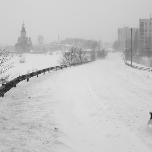 Photo #3938031