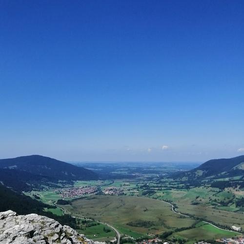 Photo #3938816