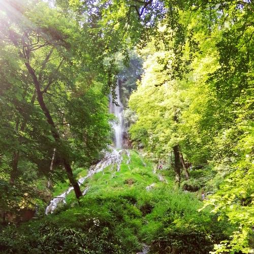 Photo #3938830
