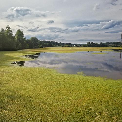 Photo #3939047